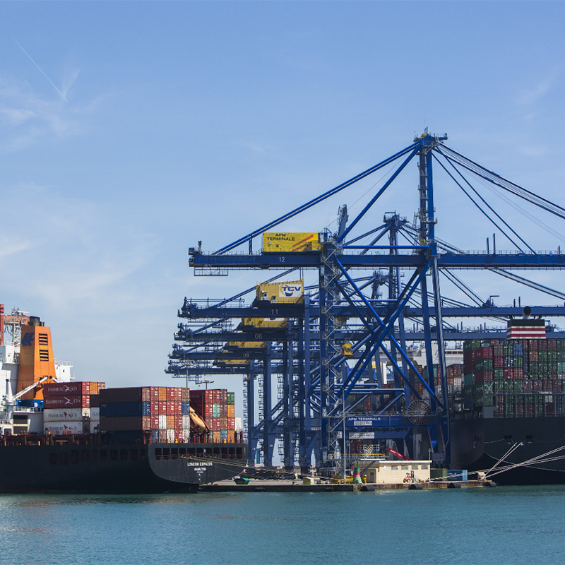 catedra valenciaport